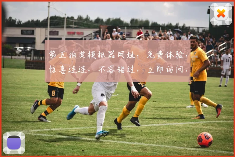 第五抽奖模拟器网址，免费体验，惊喜连连，不容错过，立即访问，体验非凡